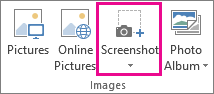 ppt screenshot tab